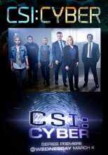 CSI: Киберпространство / CSI: Cyber 1 - 2 сезон (2015)