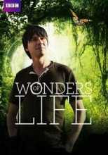 Чудеса жизни / BBC. Wonders of Life (2013)