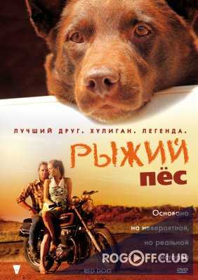 Рыжий пес / Red Dog (2011)