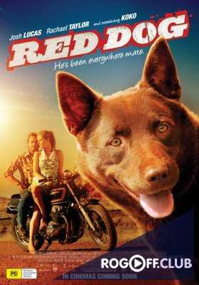 Рыжий пёс: вся правда (2016)