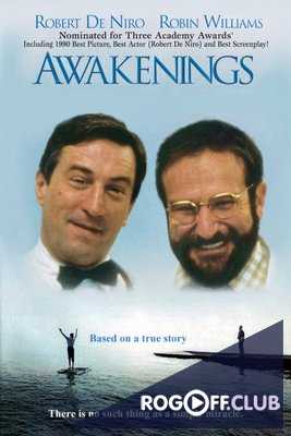 Пробуждение (1990)