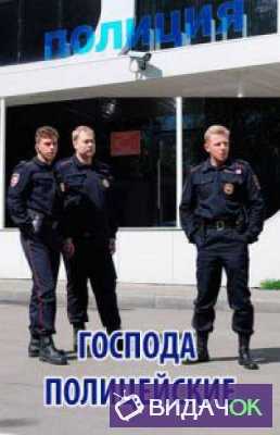 Господа полицейские 1, 2, 3, 4 серия (2018)