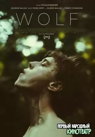 Волк (2021)