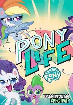 Мой маленький пони (Пони жизнь) / Май Литтл Пони: Пони Лайф 1, 2 сезон (2020-2021)