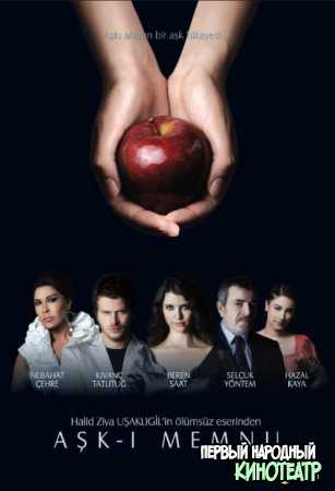 Запретная любовь 1, 2 сезон (2008–2010)