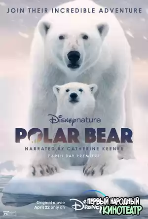 Белая медведица (2022)